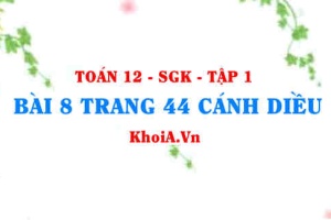 Bài 8 trang 44 Toán 12 tập 1 Cánh Diều